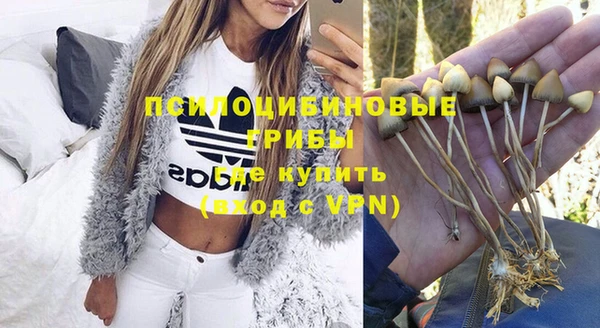твердый Михайловск