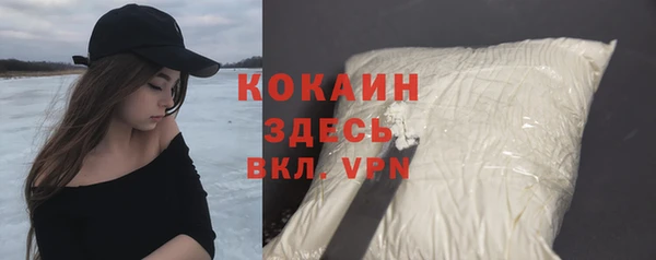твердый Михайловск