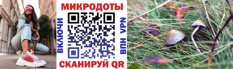 Галлюциногенные грибы Magic Shrooms  что такое наркотик  Боготол 